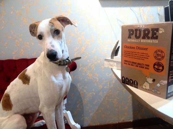 nelson Is it dinner time yet? - Eyestylist Is it dinner time yet?