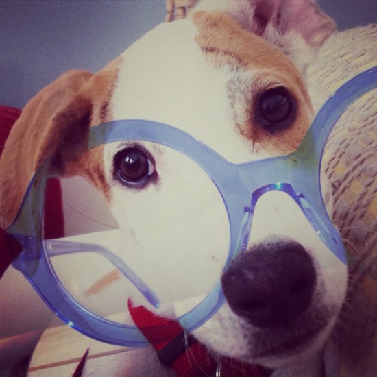 nelson's favourite frames - Eyestylist Nelson's favourite frames