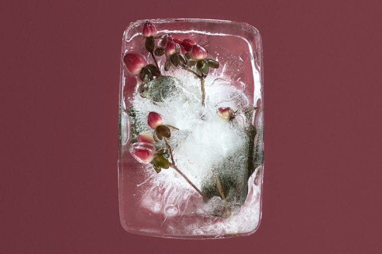 FLEYE_Inspiration_Tutsan_300dpi - Eyestylist