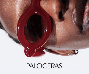 Paloceras