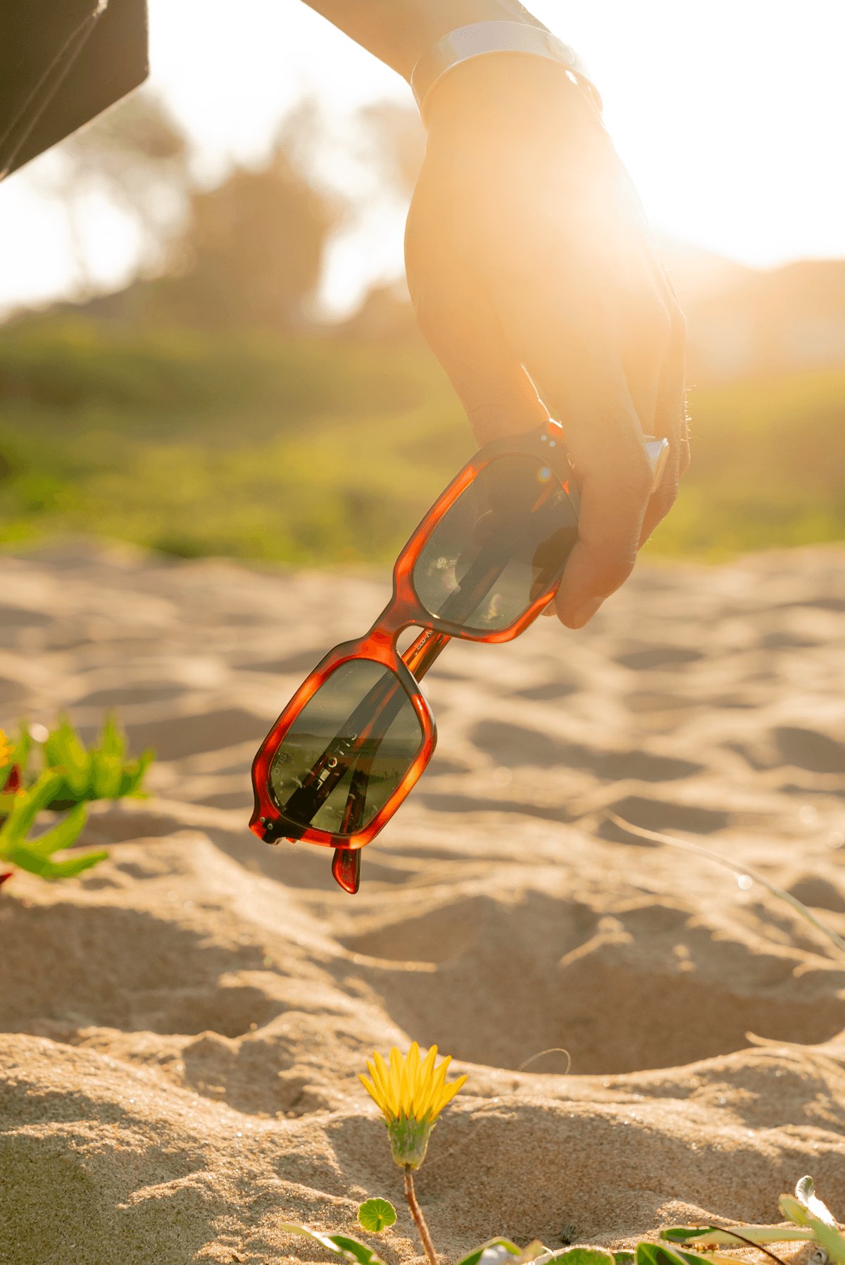 Hand reaching down to pick up bright red sunglasses from a sunlit sandy beach with small yellow flowers in the foreground.
